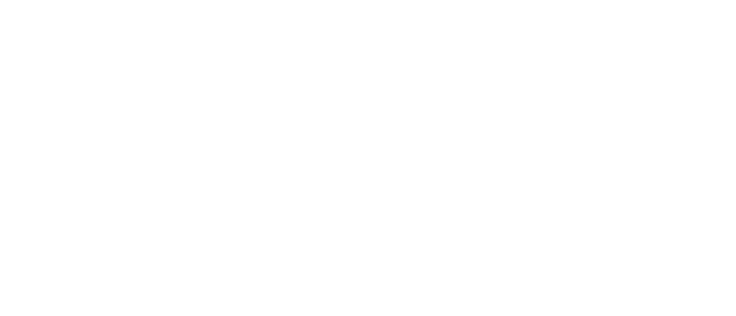 Allpanelexch version 4 Logo