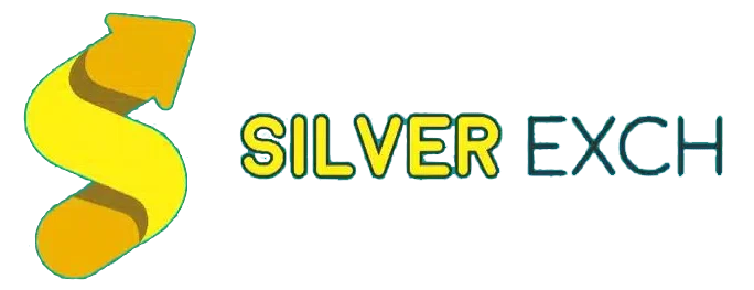 Silverbhai version 4 Logo